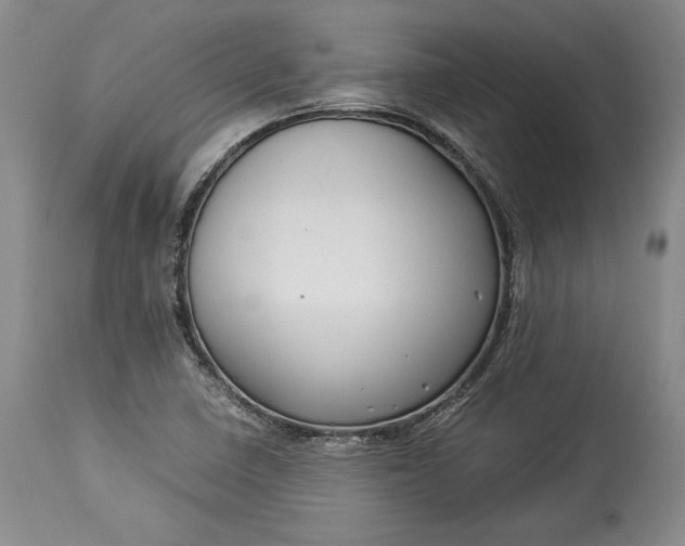 X0000114191410200910231310