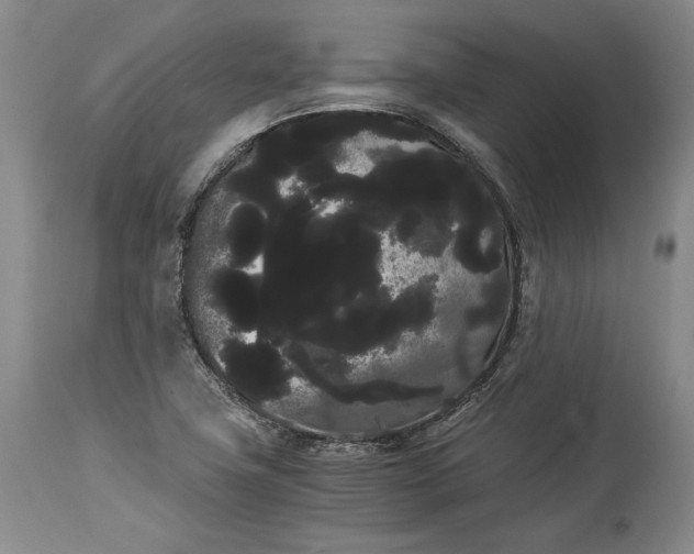 X0000114191411200910231310