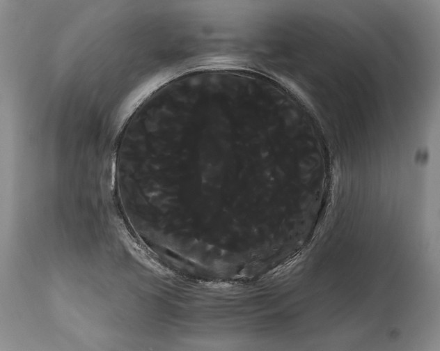 X0000114191413200910231310