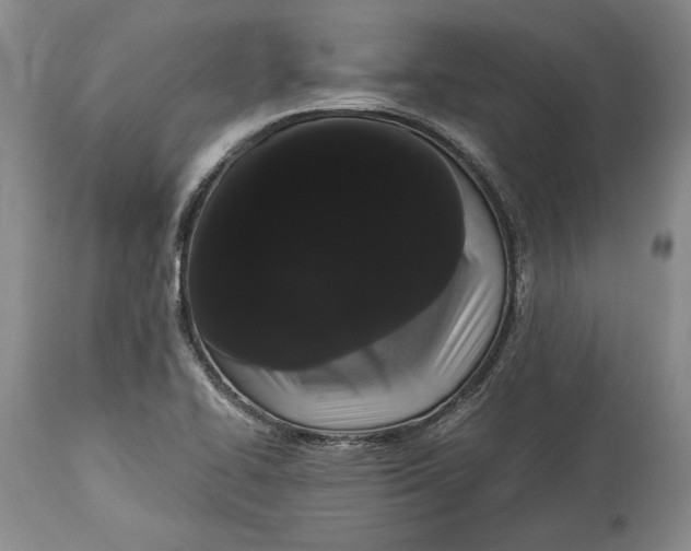 X0000114191414200910231310
