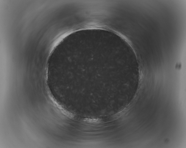 X0000114191415200910231310