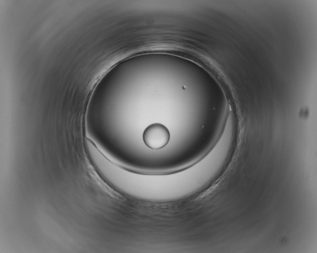 X0000114191417200910231310