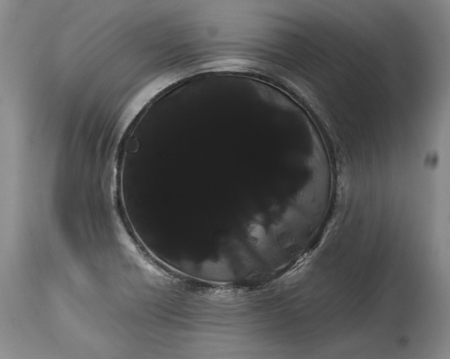 X0000114191418200910231310