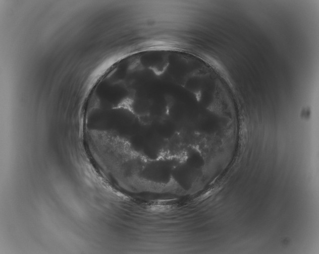 X0000114191419200910231310