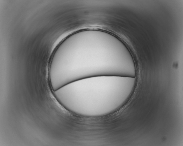 X0000114191420200910231310