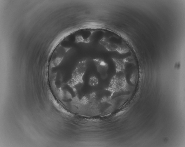 X0000114191421200910231310