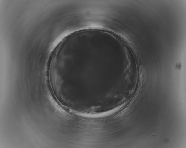 X0000114191422200910231310