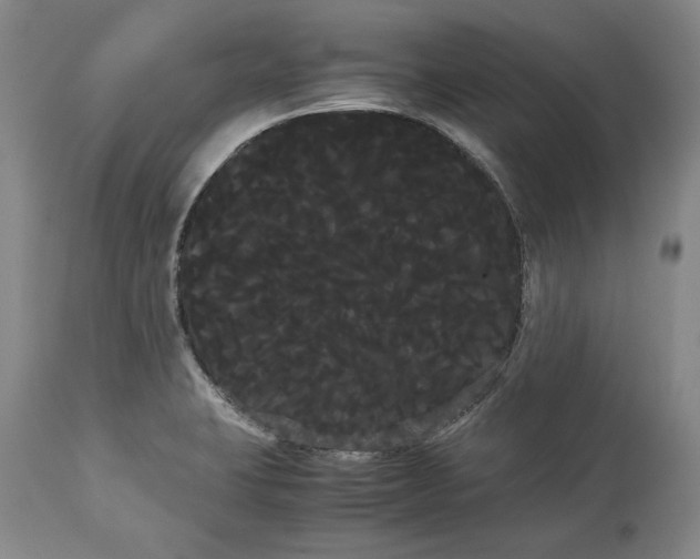 X0000114191423200910231310
