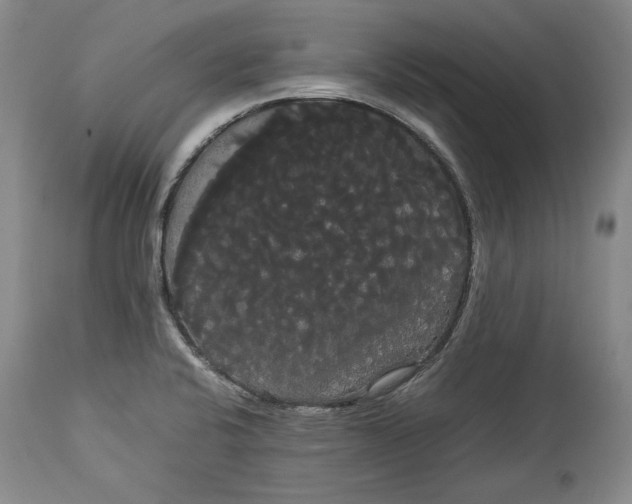 X0000114191424200910231310
