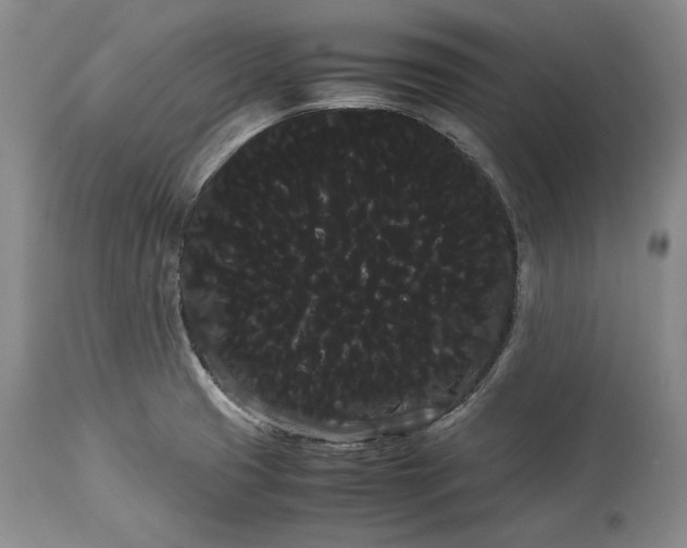 X0000114191425200910231310