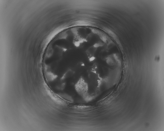 X0000114191427200910231310
