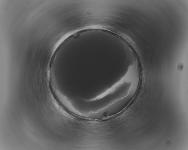 X0000114191428200910231310