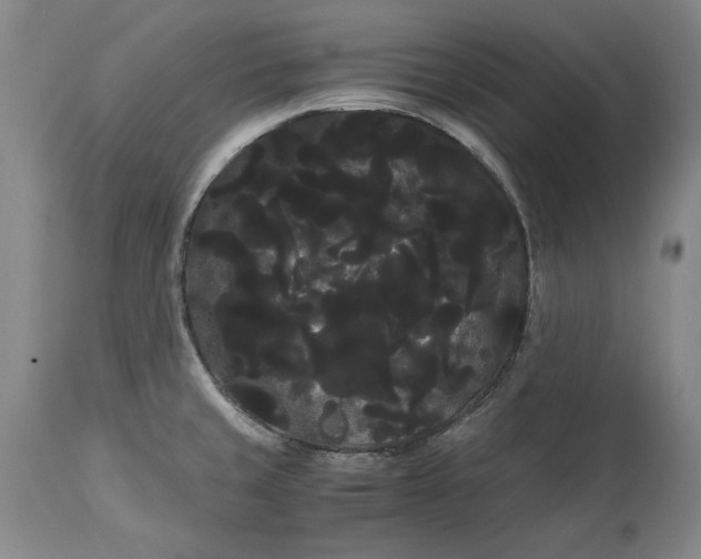 X0000114191429200910231310