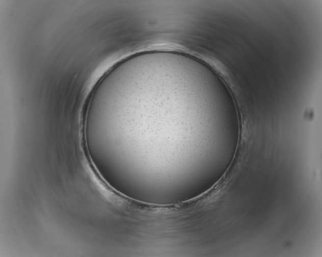X0000114191430200910231310