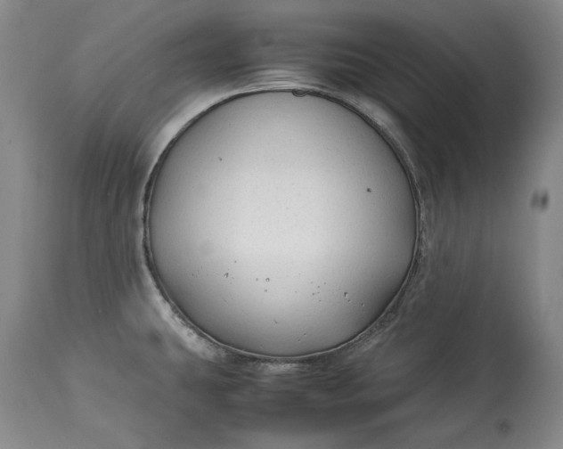 X0000114191431200910231310
