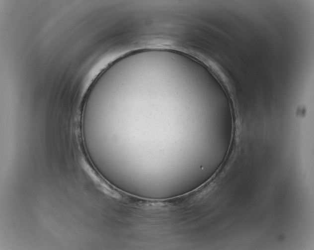 X0000114191432200910231310