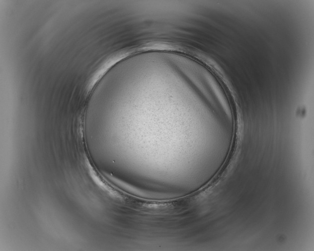 X0000114191433200910231310