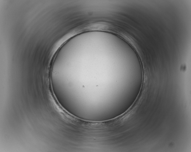 X0000114191434200910231310