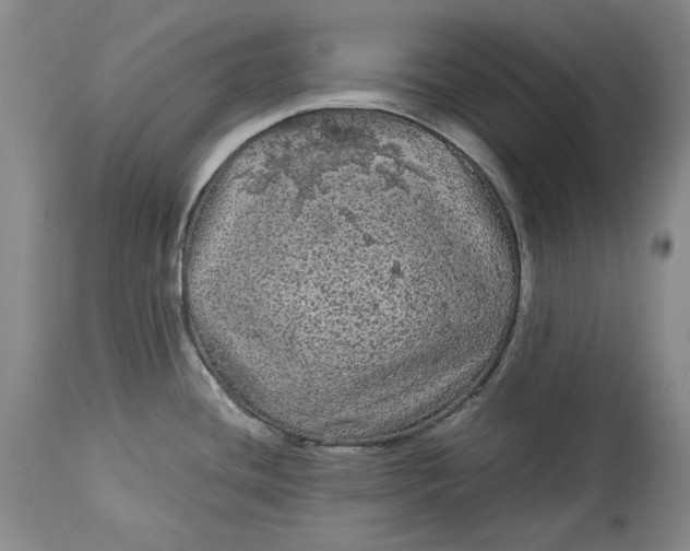 X0000114191436200910231310