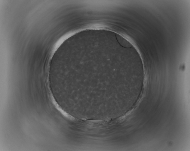 X0000114191437200910231310