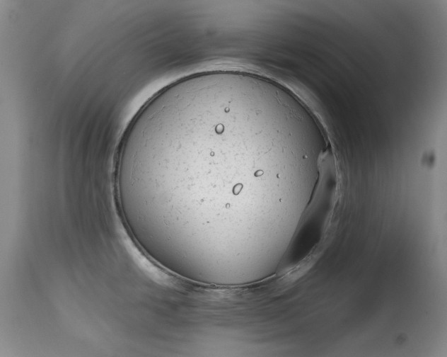X0000114191438200910231310
