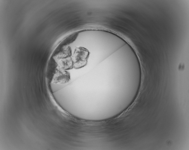 X0000114191440200910231311