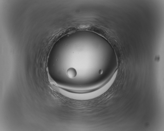 X0000114191441200910231310