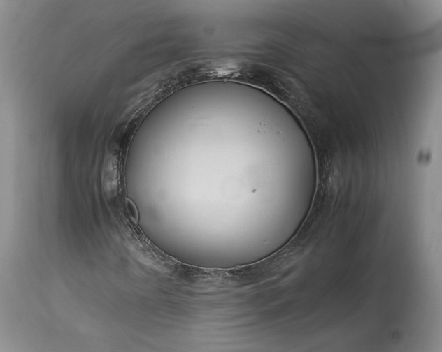 X0000114191442200910231310