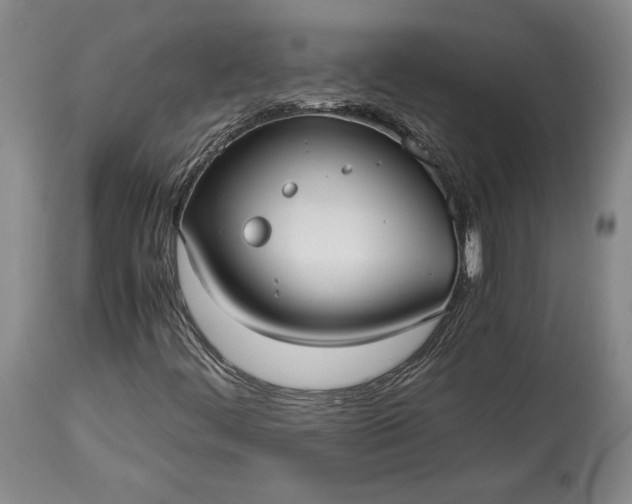 X0000114191444200910231310