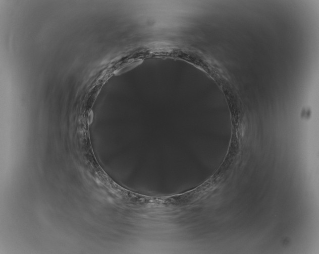 X0000114191445200910231310