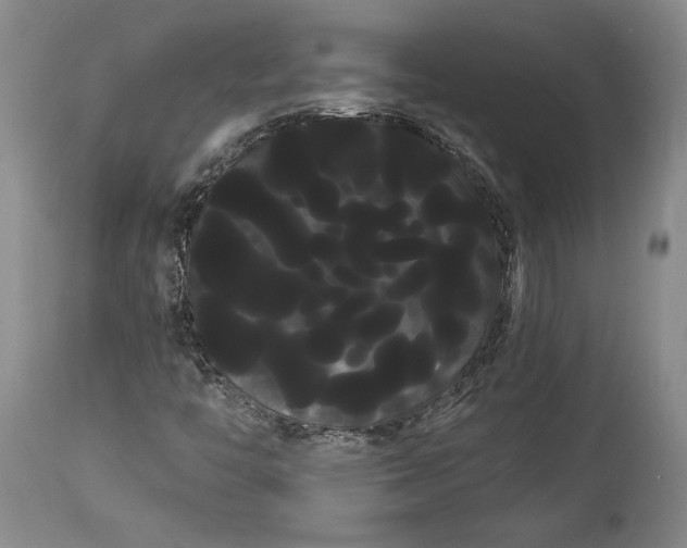 X0000114191446200910231310