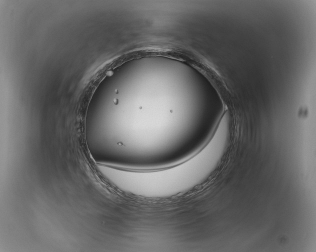 X0000114191448200910231310