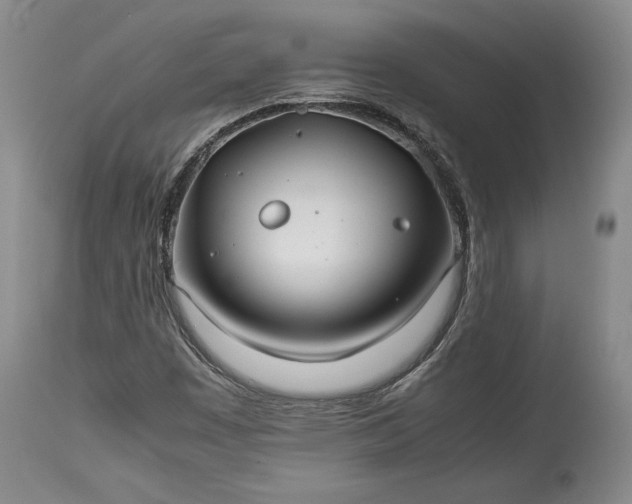 X0000114191449200910231310