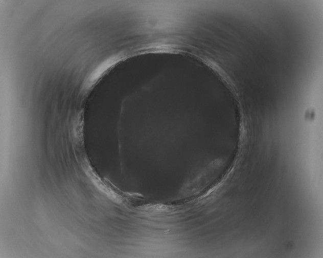 X0000114191450200910231310