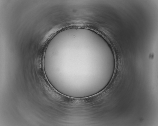X0000114191451200910231310