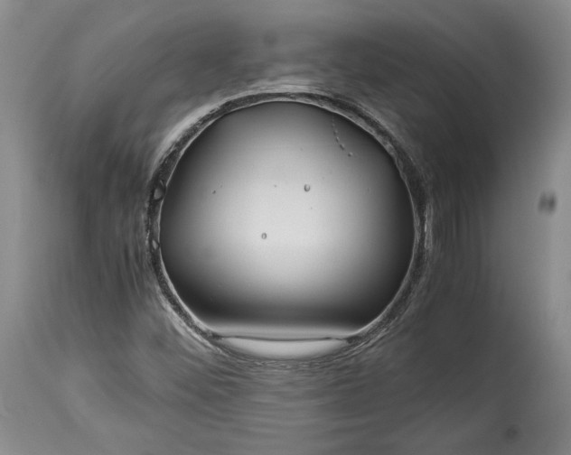 X0000114191452200910231310