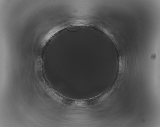 X0000114191453200910231310