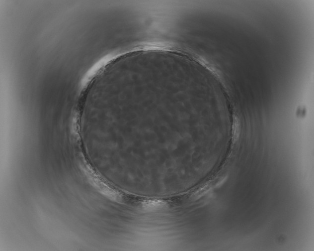 X0000114191454200910231310