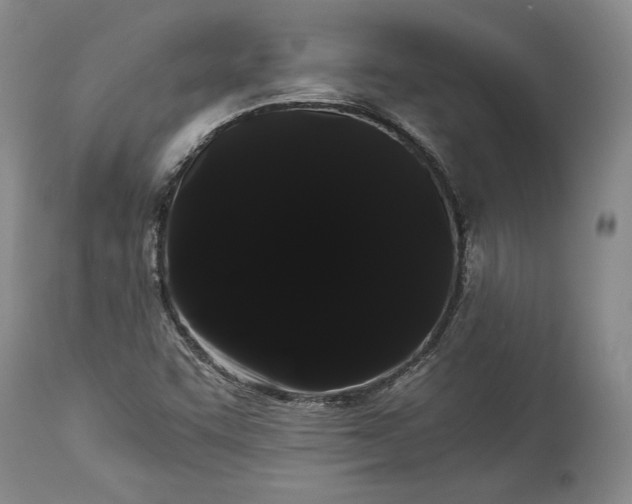 X0000114191455200910231310