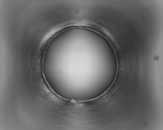 X0000114191456200910231310