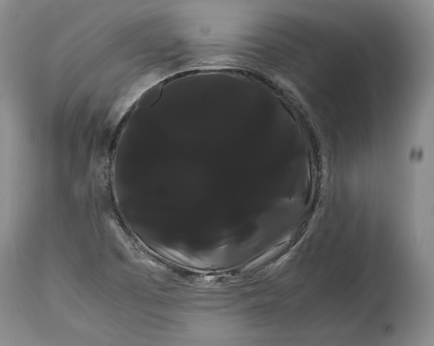 X0000114191457200910231310