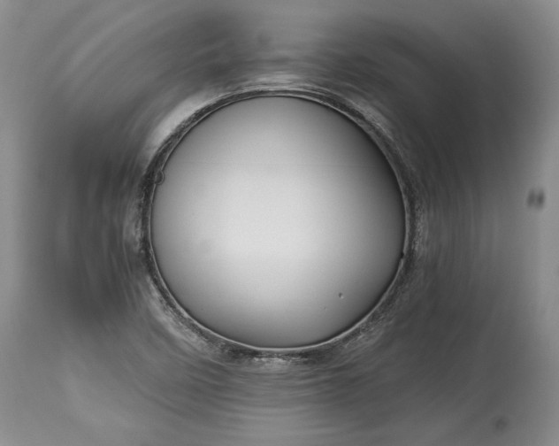 X0000114191458200910231310