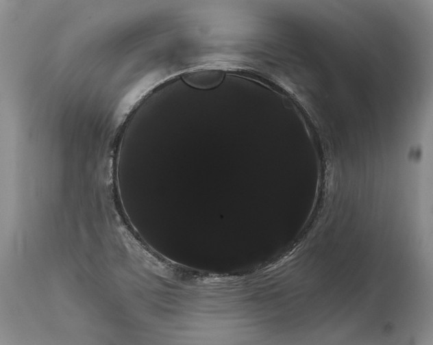 X0000114191459200910231310