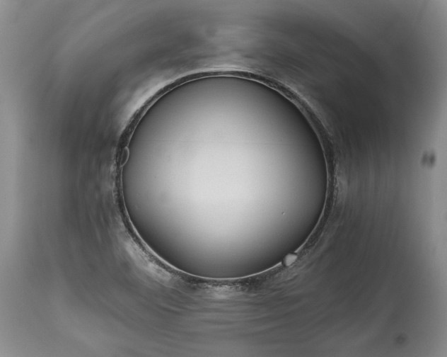 X0000114191460200910231310
