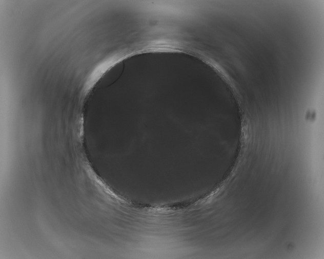 X0000114191461200910231310