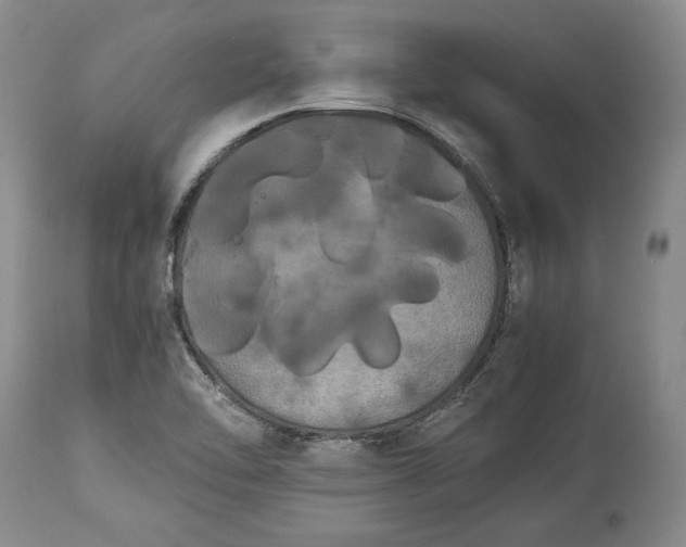 X0000114191462200910231310