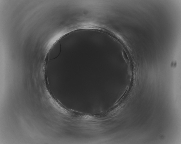 X0000114191463200910231310