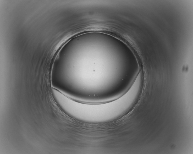 X0000114191465200910231310