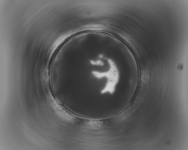 X0000114191466200910231310