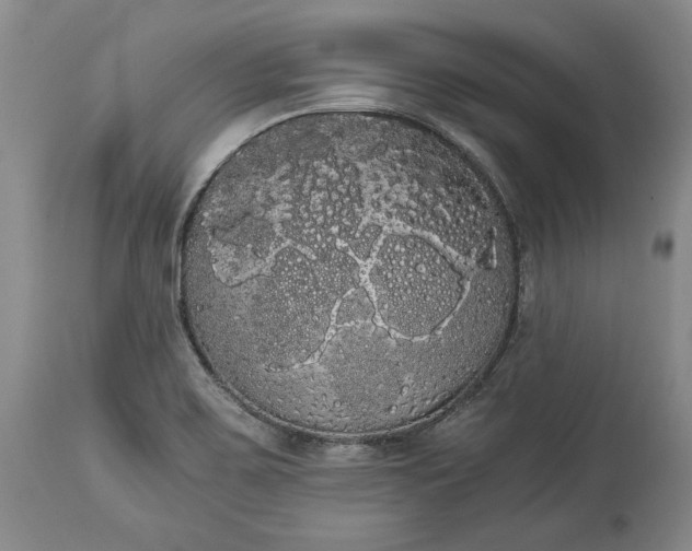 X0000114191467200910231310